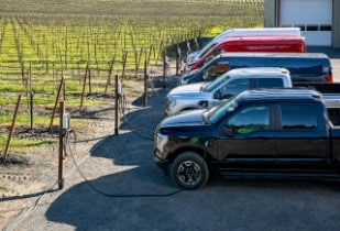 Ford Pro and Sonoma County Winegrowers